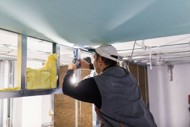Trusted Alexandria, MN Insulation Contractor Experts