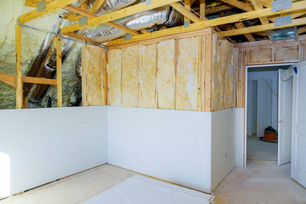 Best Blown-in Insulation in Alexandria, MN