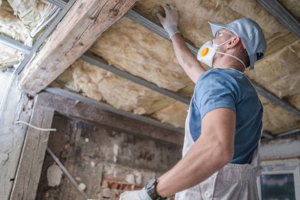 Types of Insulation We Offer in Alexandria, MN