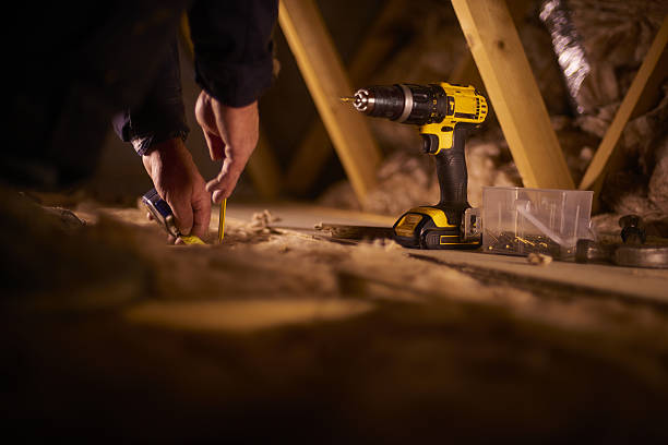 Best Geographic-Specific Insulation Services in Alexandria, MN